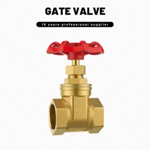 Brass Gate Valve