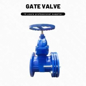 Cast Iron Telescopic Gate Valve