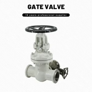Cast Steel Welded Gate Valve