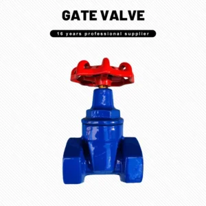 Ductile Iron Threaded Gate Valve