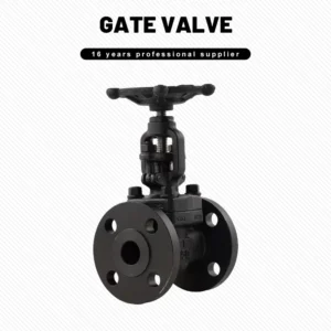 Forged Steel Flanged Gate Valve