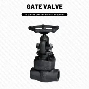 Forged Steel Threaded and Socket Weld Gate Valve