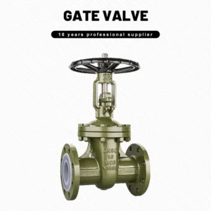 Lined Fluorine Gate Valve