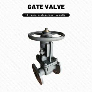 Russian Standard Cast Steel Gate Valve