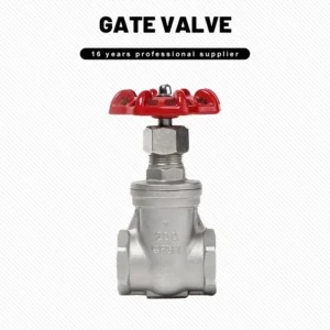 Stainless Steel Threaded Gate Valve