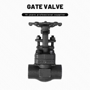 Forged Steel Butt-Weld Gate Valve